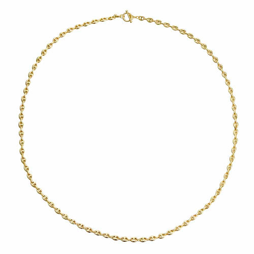 Link & Chain Necklace