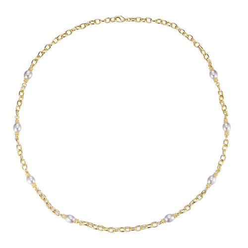 Link & Chain Necklace